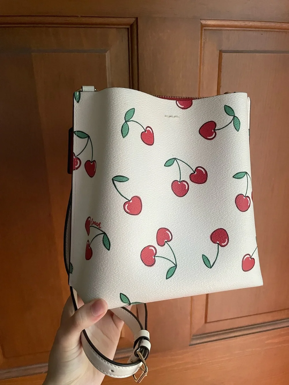 Coach Mollie Bucket Bag 22 in cherry print
